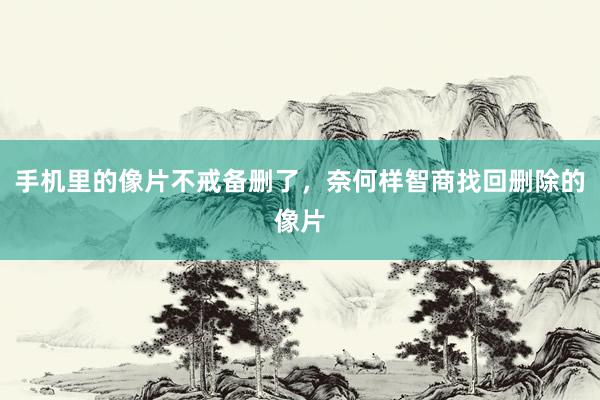手机里的像片不戒备删了，奈何样智商找回删除的像片